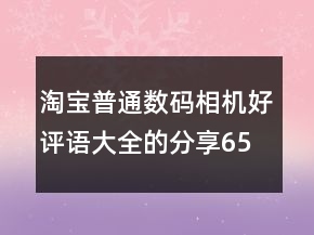 淘寶普通數(shù)碼相機(jī)好評語大全的分享65條