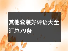 其他套裝好評語大全匯總79條