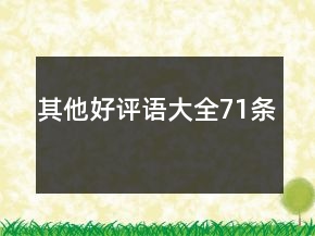 其他好評(píng)語(yǔ)大全71條