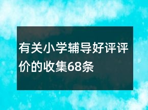 有關小學輔導好評評價的收集68條
