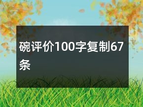 碗評(píng)價(jià)100字復(fù)制67條