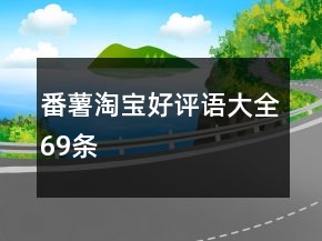 番薯淘寶好評語大全69條