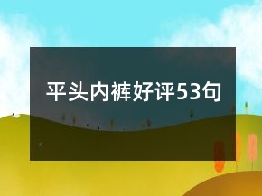平頭內(nèi)褲好評53句