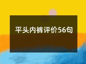 平頭內(nèi)褲評(píng)價(jià)56句