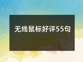 無(wú)線鼠標(biāo)好評(píng)55句