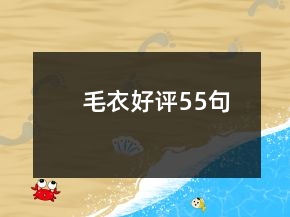 毛衣好評55句