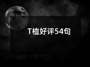 T桖好評54句