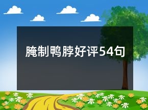 腌制鴨脖好評(píng)54句