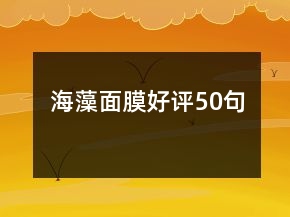 海藻面膜好評50句
