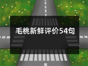 毛桃新鮮評價54句