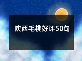 陜西毛桃好評50句