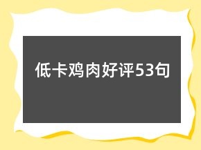 低卡雞肉好評(píng)53句
