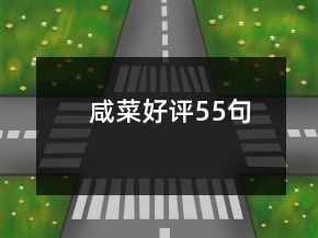 咸菜好評(píng)55句