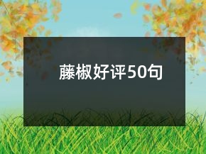 藤椒好評(píng)50句
