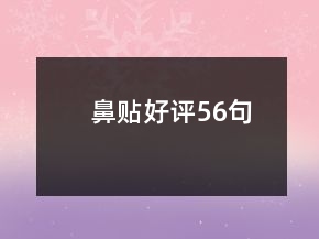 鼻貼好評56句