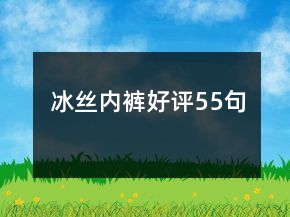 冰絲內(nèi)褲好評55句