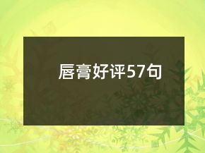 唇膏好評(píng)57句