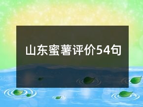 山東蜜薯評價(jià)54句