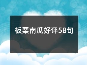 板栗南瓜好評(píng)58句