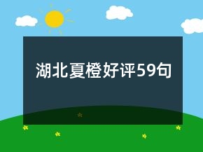 湖北夏橙好評59句