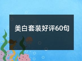 美白套裝好評60句
