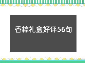 香粽禮盒好評(píng)56句