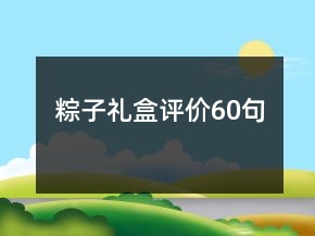 粽子禮盒評(píng)價(jià)60句