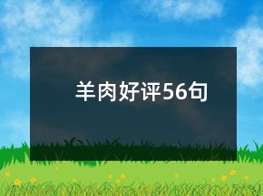 羊肉好評(píng)56句