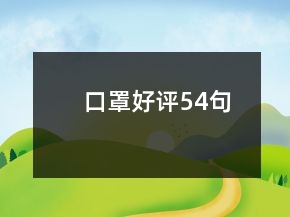 口罩好評54句