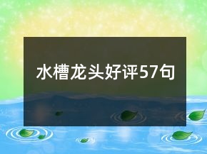 水槽龍頭好評57句