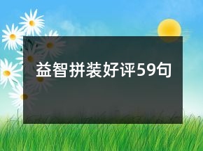 益智拼裝好評(píng)59句