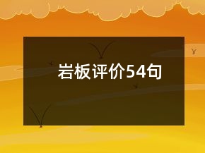 巖板評價54句