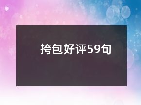 挎包好評59句