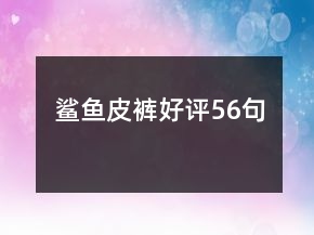 鯊魚(yú)皮褲好評(píng)56句