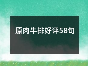 原肉牛排好評58句