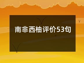 南非西柚評價53句