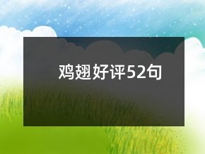雞翅好評52句