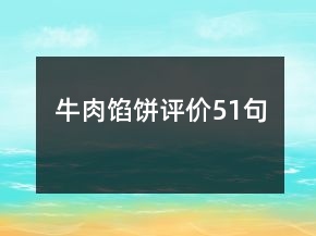 牛肉餡餅評價51句