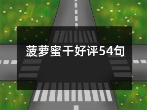 菠蘿蜜干好評54句