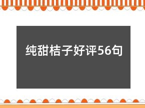 純甜桔子好評56句