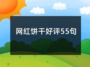 網(wǎng)紅餅干好評(píng)55句