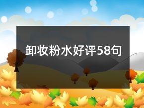 卸妝粉水好評(píng)58句