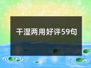 干濕兩用好評59句