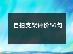 自拍支架評價(jià)56句