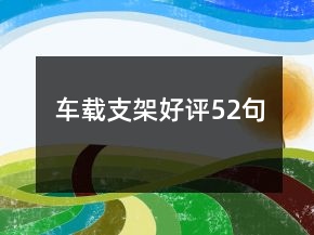 車載支架好評(píng)52句