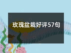 玫瑰盆栽好評57句