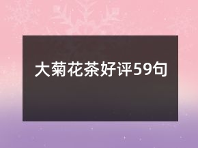 大菊花茶好評(píng)59句