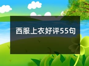 西服上衣好評(píng)55句