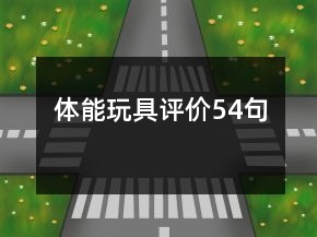 體能玩具評價(jià)54句