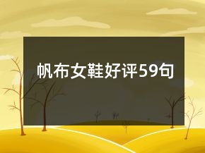 帆布女鞋好評59句